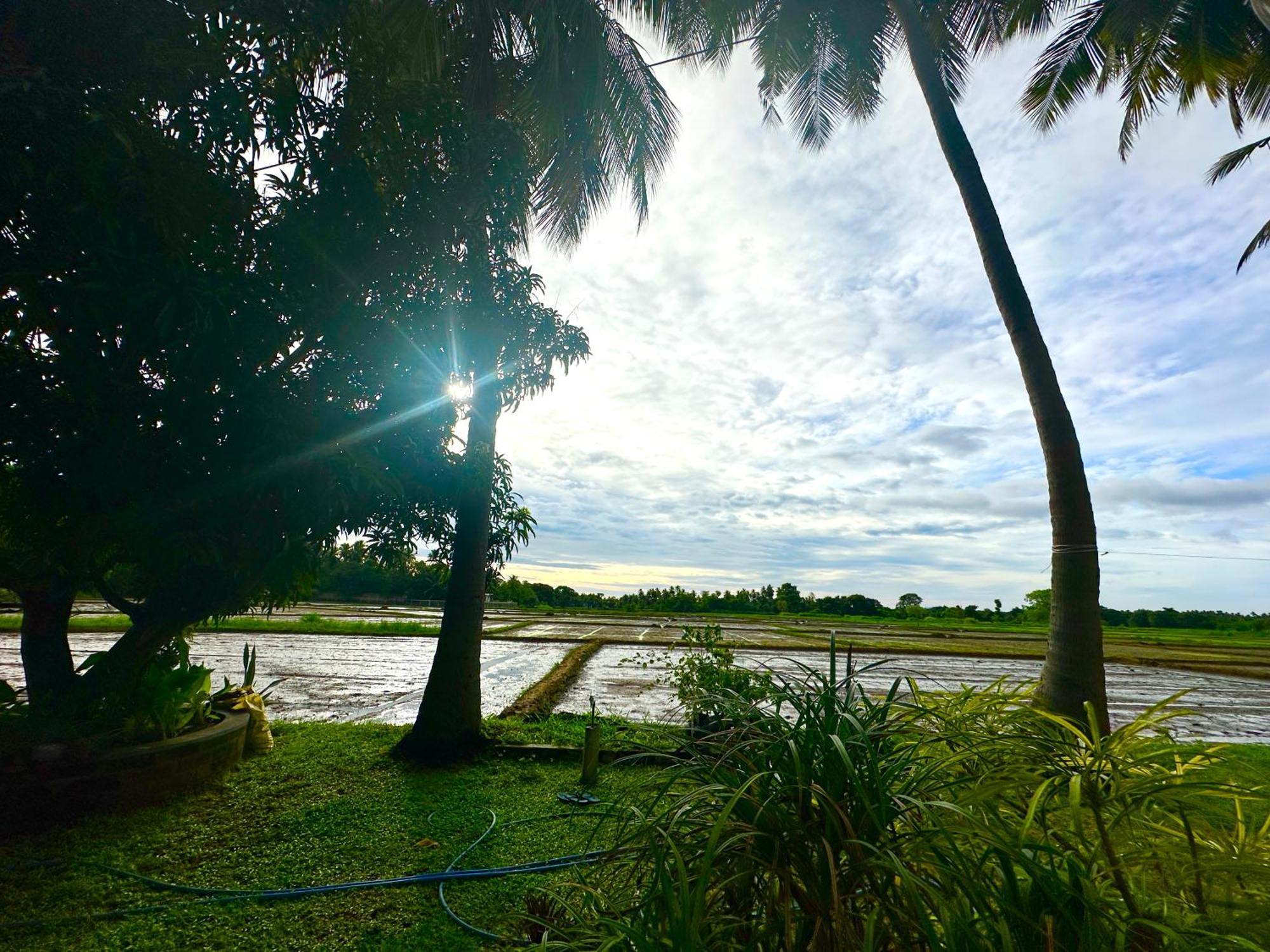 Aroma Villa Homestay Polonnaruwa Exterior photo